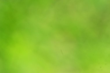 çok renkli doğal arka plan bulanık