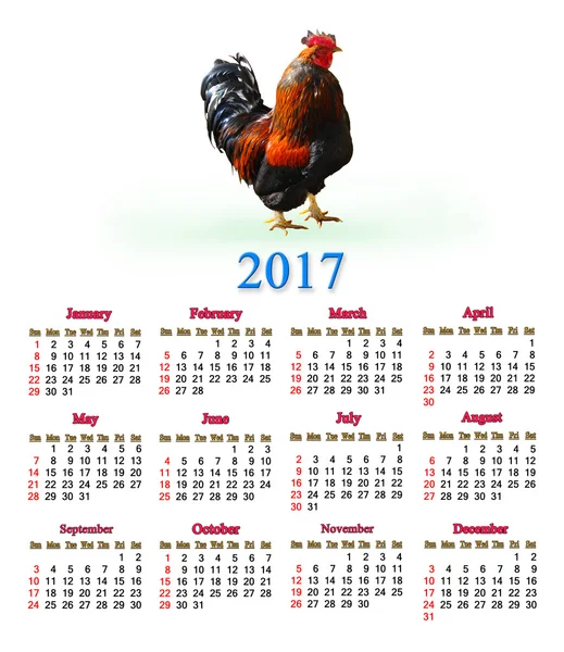 Calendário para 2017 com imagem de pau — Fotografia de Stock