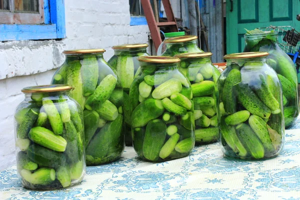 Cucumbers in the jars prepared for preservation — Stock Photo, Image