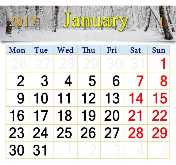 Kalendář na leden 2017 s Prosluněný březový háj — Stock fotografie