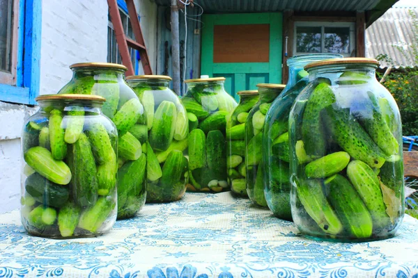 Pepinos nos jarros preparados para a preservação — Fotografia de Stock