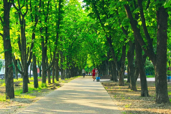 人は、大きな木のある公園で残りを持っています。 — ストック写真