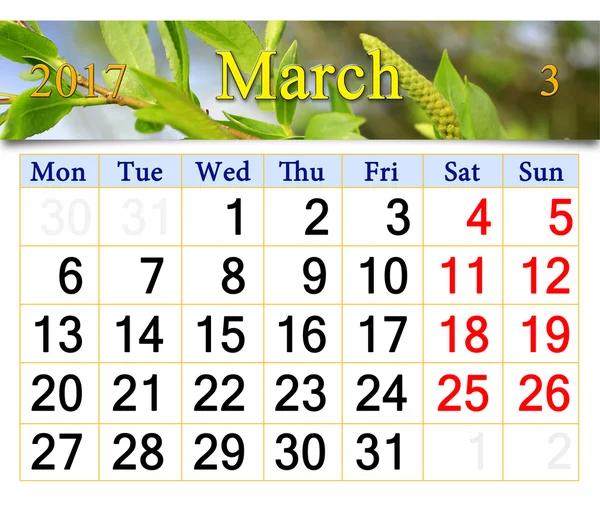 Kalender voor maart 2017 met de jonge spruiten van de wilg — Stockfoto