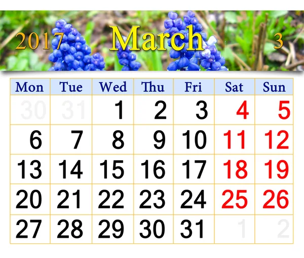 Kalender voor maart 2017 met muscari — Stockfoto