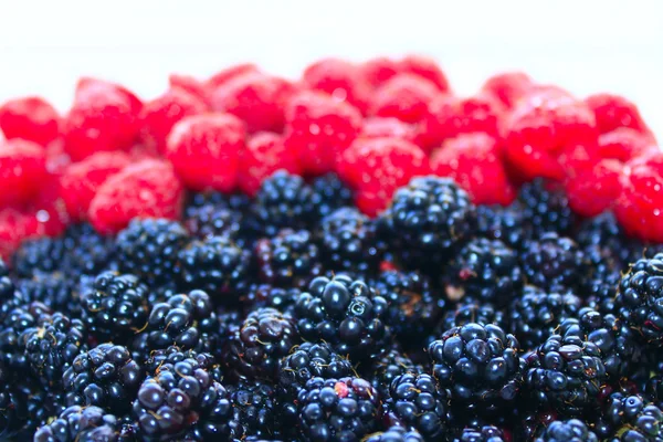 Blackberry and raspberry — Stock Photo, Image