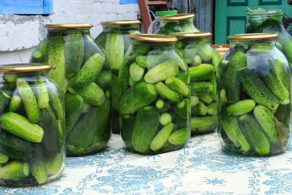 Pepinos nos frascos para preservação — Fotografia de Stock