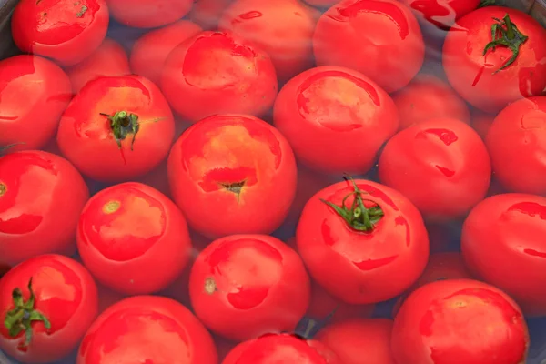 Tomatoes in the water prepared for preservation — Stock Photo, Image