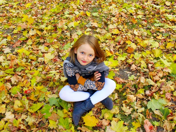 座っている女の子が公園で黄色の葉 — ストック写真
