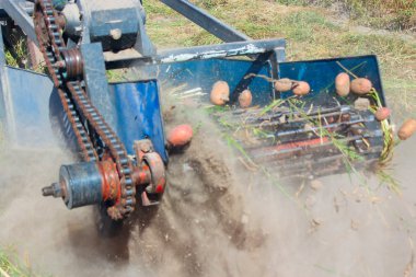 patates kazma için bir traktör Yangın önleyici donatım