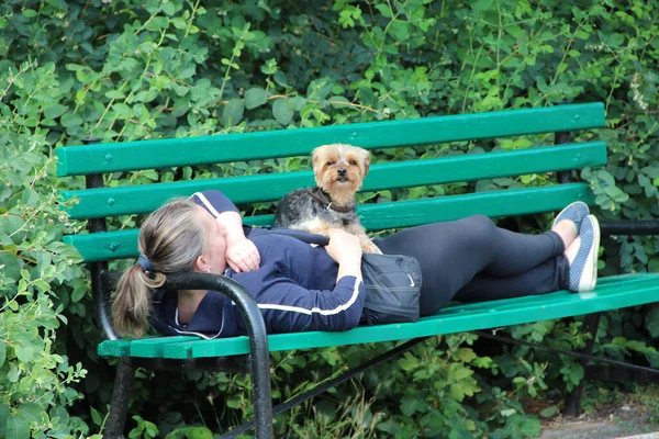 Женщина Собакой Лежит Скамейке Парке Декоративная Собака Сидит Женщине Любитель — стоковое фото