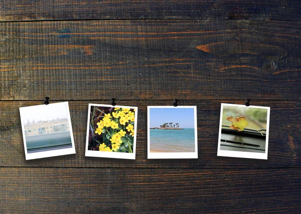 Vier Jahreszeiten Auf Holzgrund Vier Fotos Von Vier Jahreszeiten Auf — Stockfoto