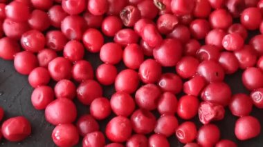 Siyah arka planda yatan şizandra çilekleri. Şizandra olgun ve kırmızı. Meyve vitaminleri