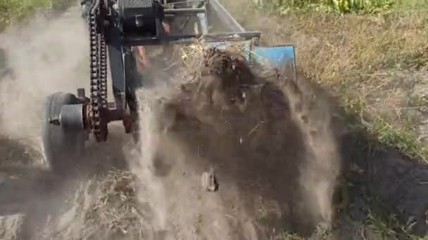 Agricultor Tractor Cosechando Papa Plantación — Vídeos de Stock