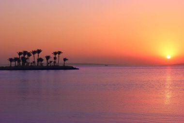 Palmiye ağaçları ve denizde gezinti gemisi olan tropik bir ada. Kızıl denizdeki cennet adası. Tropik tatil köyü. Tatil konsepti. Plaj palmiyeleri ve denizi olan deniz manzarası