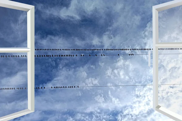 Открытое Окно Видом Ряд Птиц Сидящих Электрических Проводах Фоне Неба — стоковое фото