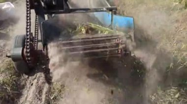 Toprakta taze organik patates tarlası kazma işlemi. Çiftçi traktörde çiftlikte patates topluyor. Tarım tarlası. Patates mahsulünü çıkarıyorum. Patates kazıcı iş başında.