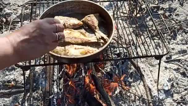 Poisson Est Frit Dans Une Poêle Près Rivière Cuisson Poissons — Video