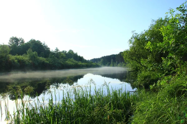 Mañana Amanece Sobre Río Hermoso Paisaje Verano Río Está Cubierto —  Fotos de Stock