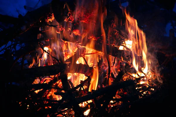 Fogueira Nocturna Lenha Arde Intensamente Fogo Fogueira Galhos Árvore Noite — Fotografia de Stock