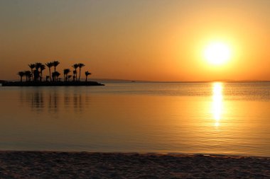 Mahremiyet için güzel bir yer. Adanın üzerinde gün batımı. Deniz üzerinde şafak vakti parlak güneş. Okyanusta palmiye ağaçları ve bankları olan bir ada. Coronavirus 'tan uzakta yaz tatili