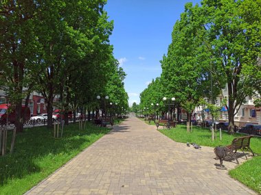 Chernihiv / Ukrayna. 17 Mayıs 2018: Yeşil ağaçlar ve patika bankları olan Summer City Park. Şehir parkında yeşil yapraklı ağaçlar. Yeşil ağaçlar arasında patika olan yaz parkı. Şehir sakinleri için dinlenme yeri
