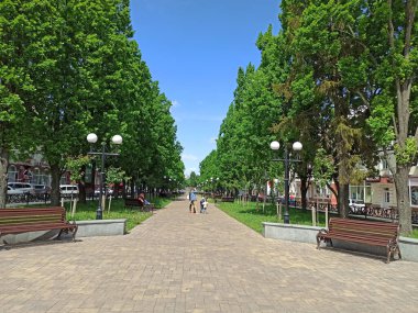Chernihiv - Ukrayna. 19 Temmuz 2018: Yol kenarları ve yeşil ağaçları olan Summer City Parkı. Şehir parkında yeşil yapraklı ağaçlar. Yeşil ağaçlar arasında patika olan yaz parkı. Şehir sakinleri için dinlenme yeri