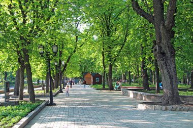Chernihiv - Ukrayna. 24 Mayıs 2020: İnsanlar büyük ağaçlarla şehir parkında dinleniyor. Çift tatili. Yaz tatili. Aile tatili. Seyahat konsepti. Şehirdeki yeşil park. Aile bahar parkında dinleniyor.