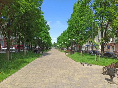 Güzel gezinti yolları, yüksek yeşil ağaçları ve çalıları olan güzel bir park. Gezinti bankları ve büyük yeşil ağaçları olan güzel bir şehir parkı. Baharda şehir parkında. İnsanlar şehir parkında dinleniyor.