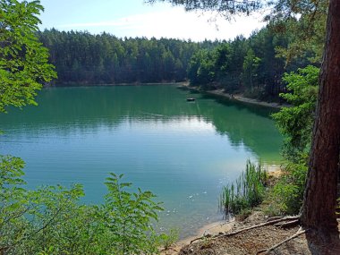 Çam ormanında zümrüt suyu olan güzel bir orman gölü. Harika doğal manzara. Su panoraması. Vahşi doğa.