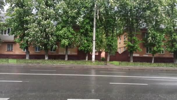 雨天水滴落在柏油路上 城市道路上的雨 雨天街上 雨中落下的水滴 — 图库视频影像