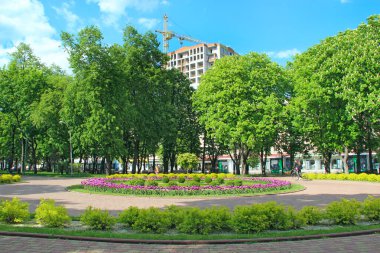 Chernihiv / Ukraine. 17 May 2020:Lilac tulips on flower bed in city park. Springtime garden. Lilac tulips planted in patterned row in garden. Colorful tulips in flower bed. Beautiful spring flower tulips. City landscaping