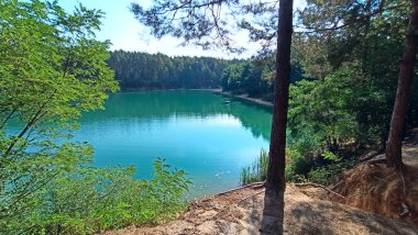 Chernihiv / Ukraine. 17 May 2020:Lilac tulips on flower bed in city park. Springtime garden. Lilac tulips planted in patterned row in garden. Colorful tulips in flower bed. Beautiful spring flower tulips. City landscaping