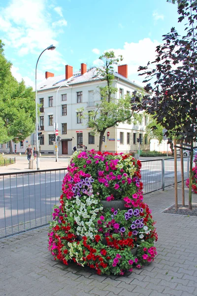 Varsovie Pologne Juillet 2019 Îles Nature Dans Ville Moderne Coexistence — Photo