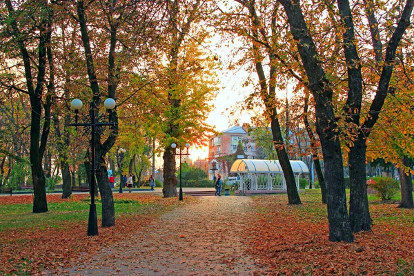 Tjernihiv Ukraina September 2019 Höstpark Med Vackra Träd Täckta Med — Stockfoto