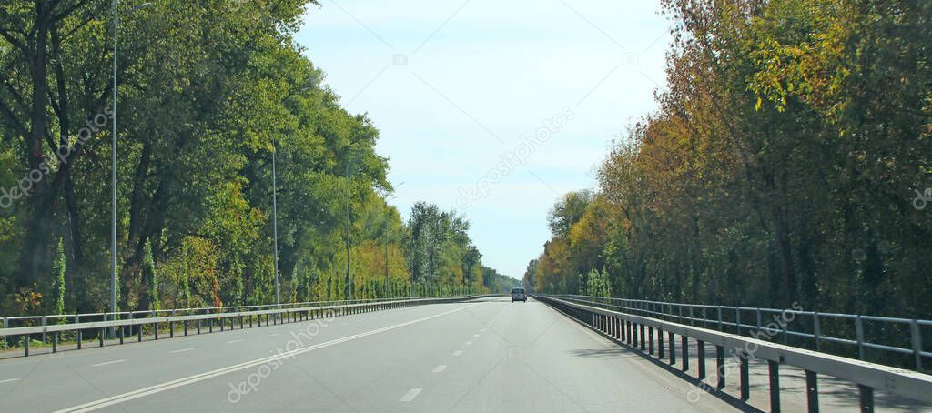 Asphalt road and green roadsides with bushes. Empty highway. Overgrown highway. Road with dense vegetation on sides. Natural summer landscape with asphalt road and green roadsides