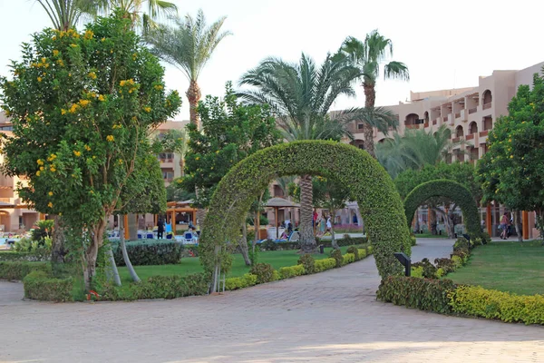 Césped Herbáceo Entre Palmeras Resort Egipto Hotel Con Territorio Bien — Foto de Stock