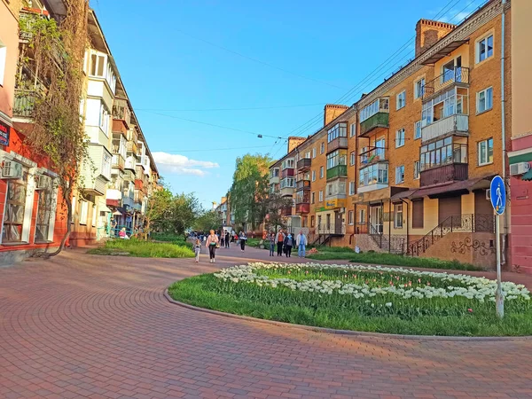 Tchernihiv Ukraine Mai 2020 Fleurs Sur Parterre Dans Parc Ville — Photo