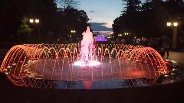 都市公園の色の噴水 水のカラフルなジェット ライフスタイルの概念 噴水のある美しい都市公園 噴水のウォータージェットで夜のライト 夜の街 近代的な噴水 — ストック動画