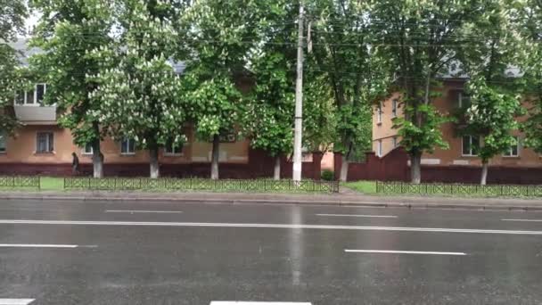 Des Gouttes Eau Tombent Sur Une Route Asphaltée Pendant Pluie — Video