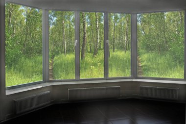 Vadinin penceresi vadileri olan güzel huş ağacına bakıyor. Pencereden manzara çok güzel. Pencerenin ötesine. Yaz manzarası. Yeşillik dışarıda