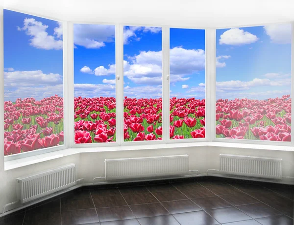 Panoramic Window Overlooking Field Red Tulips Blue Sky Spring Garden — Stock Photo, Image