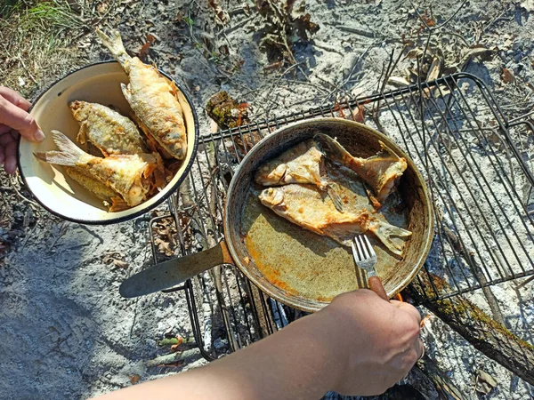 Fisk Friteras Stekpannan Nära Håll Matlagning Färsk Fisk Fångst Lyckat — Stockfoto