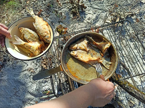 Рыба Поджаривается Сковороде Готовлю Свежую Рыбу Успешная Рыбалка Вкусное Рыбное — стоковое фото