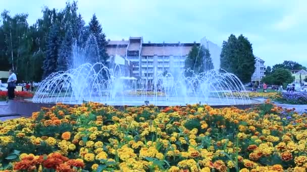 Brunnen im Stadtpark in Drohobytsch — Stockvideo