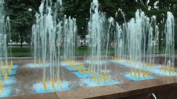 Fountains in city park — Stock Video