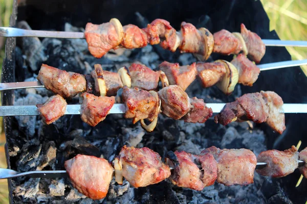 Apetecible barbacoa en el fuego — Foto de Stock