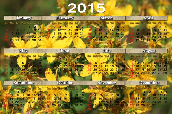 Calendário para 2015 ano com flores de erva de São João — Fotografia de Stock