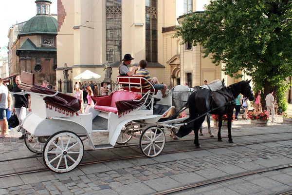 Passeggiata pullman con due cavalli imbrigliati in Lvov — Foto Stock