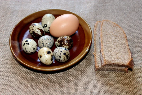 Des œufs de caille et de poule avec des morceaux de pain — Photo