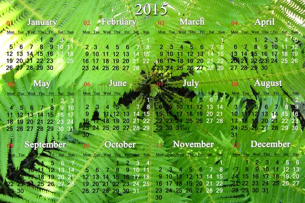 Kalendář na rok 2015 na pozadí kapradí — Stock fotografie